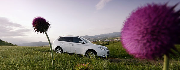 mitsubishi-outlander-flower