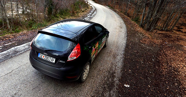ford-fiesta-rear-top