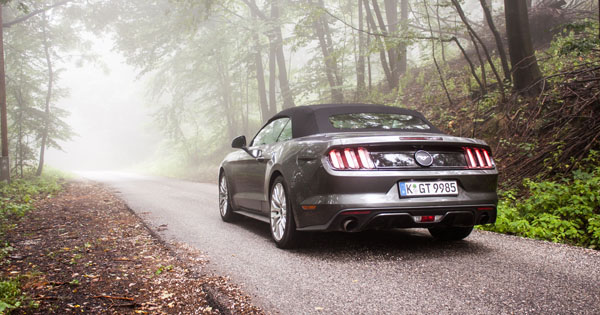 ford-mustang-convertible-fog2