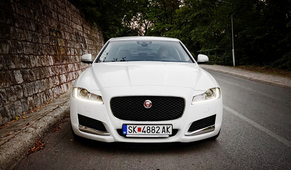 jaguar-xf-face